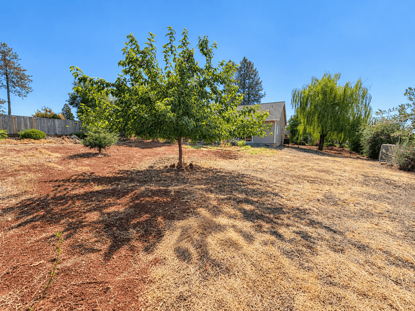 Paradise House: 435 Apple Lane
