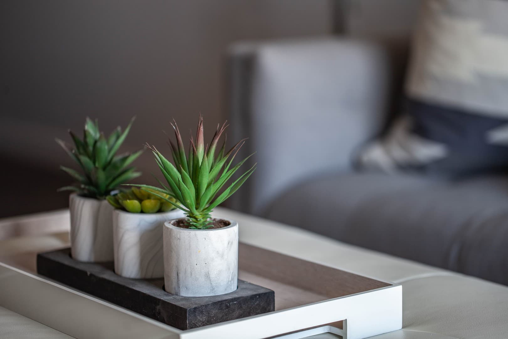 North Hollywood Apartment: 11011 West Otsego Street