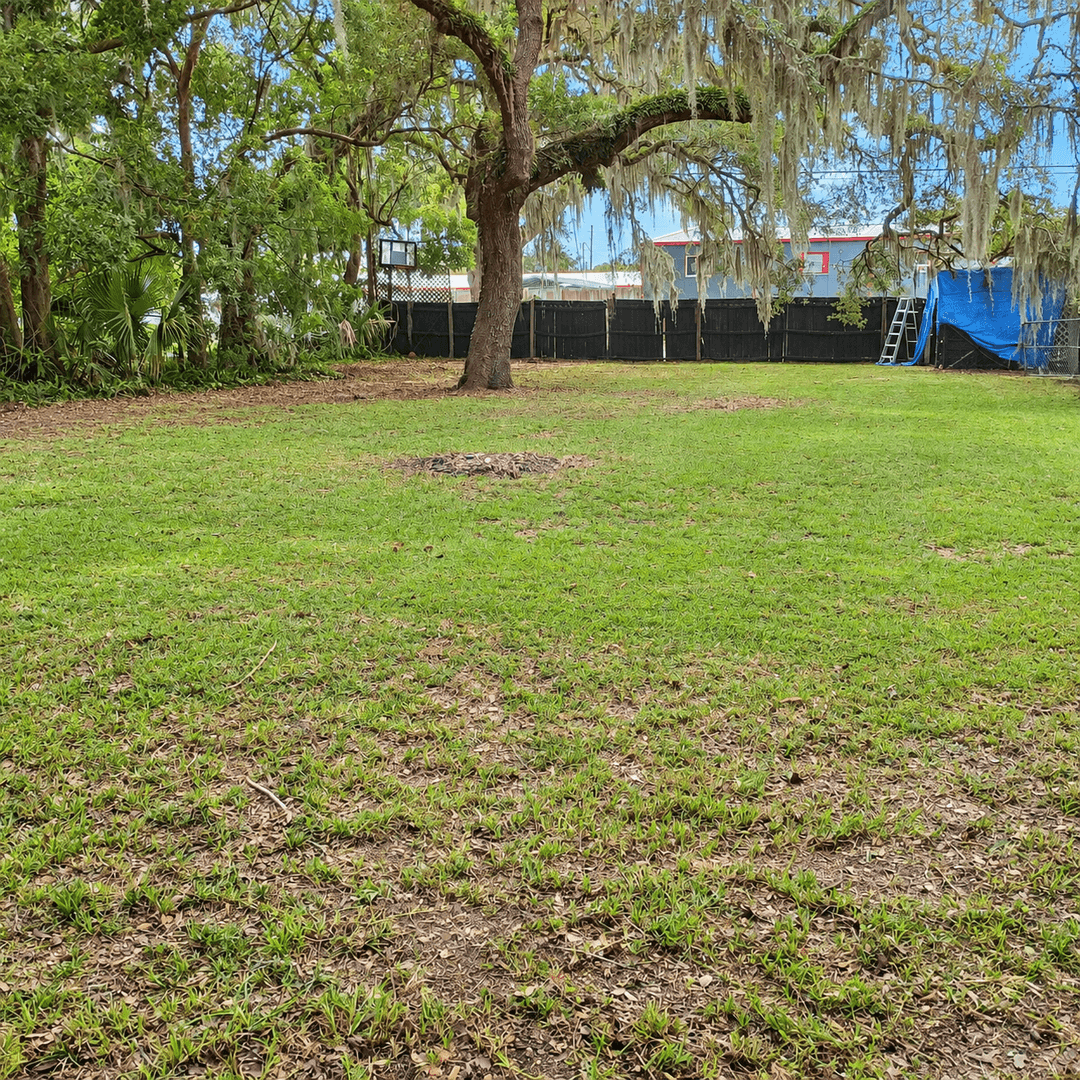 GREEN COVE SPRINGS House: 438 MAGNOLIA AVE