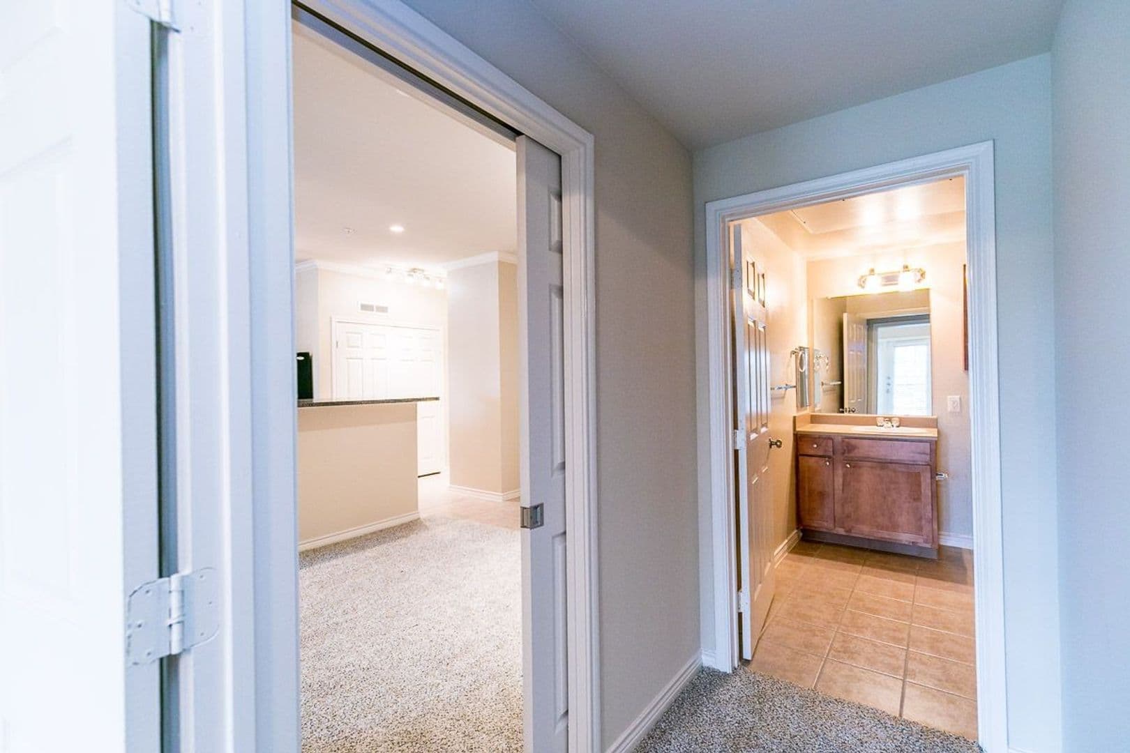 Farmers Branch Apartment: 1580 Mira Lago Boulevard
