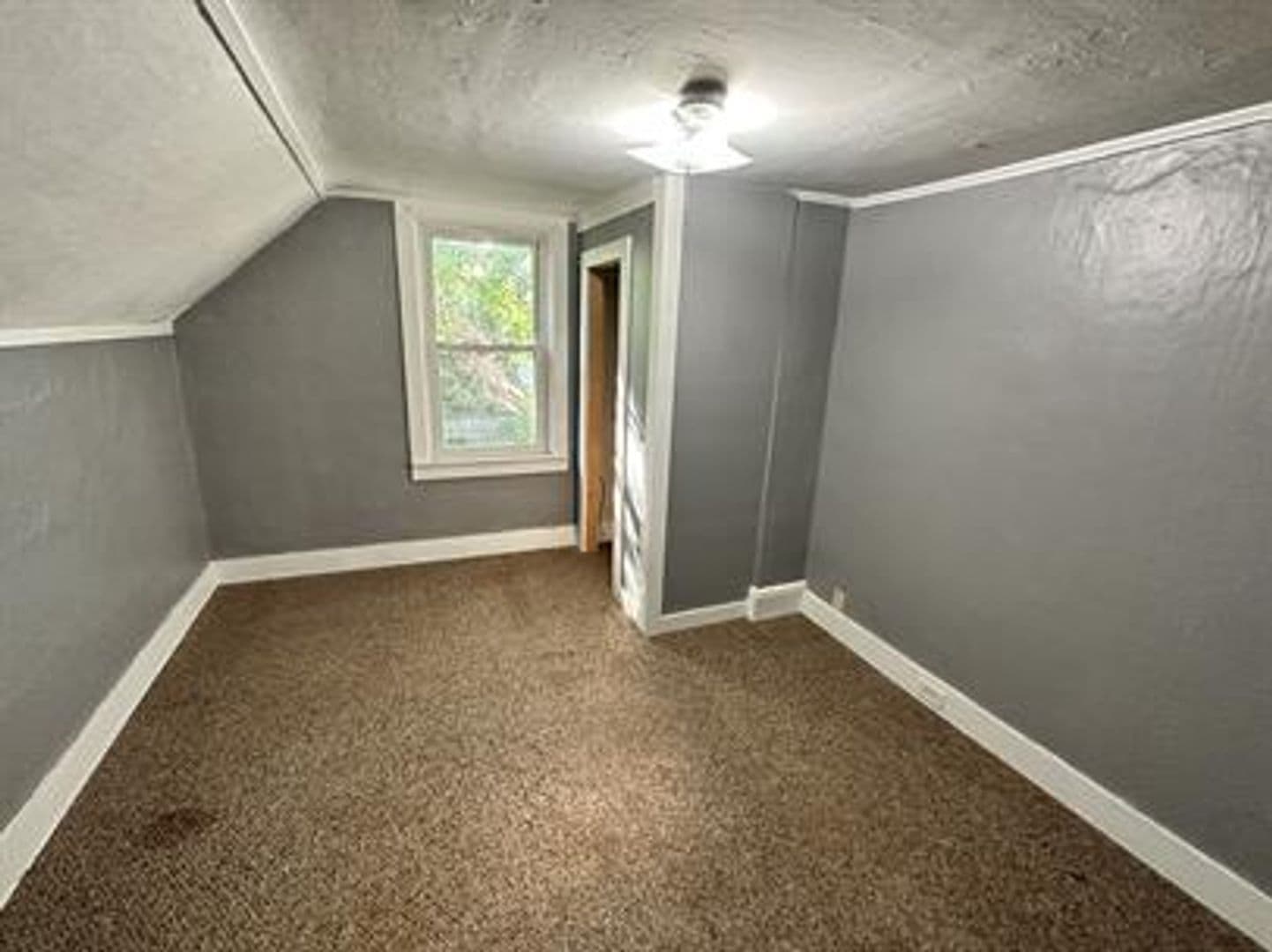 Orono Apartment: 10-12 Spruce Street