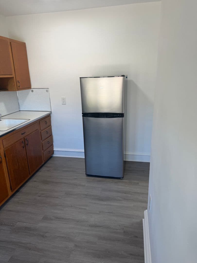 Elmer Apartment: 88 Chestnut St