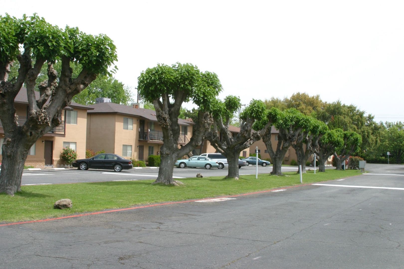 Chico Apartment: 2313 Floral Ave