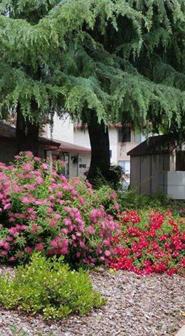Chico Apartment: 1425 Nord Avenue