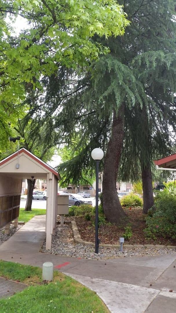Chico Apartment: 1425 Nord Avenue