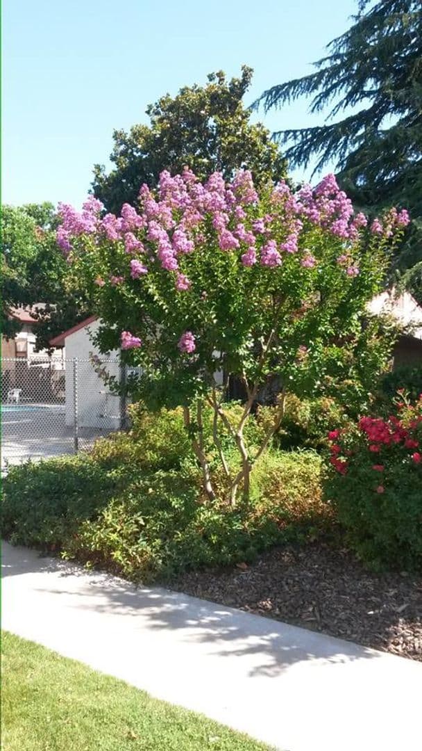 Chico Apartment: 1425 Nord Avenue