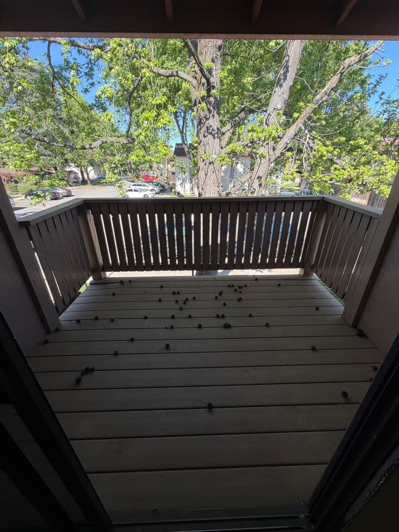 Chico Apartment: 1425 Nord Avenue