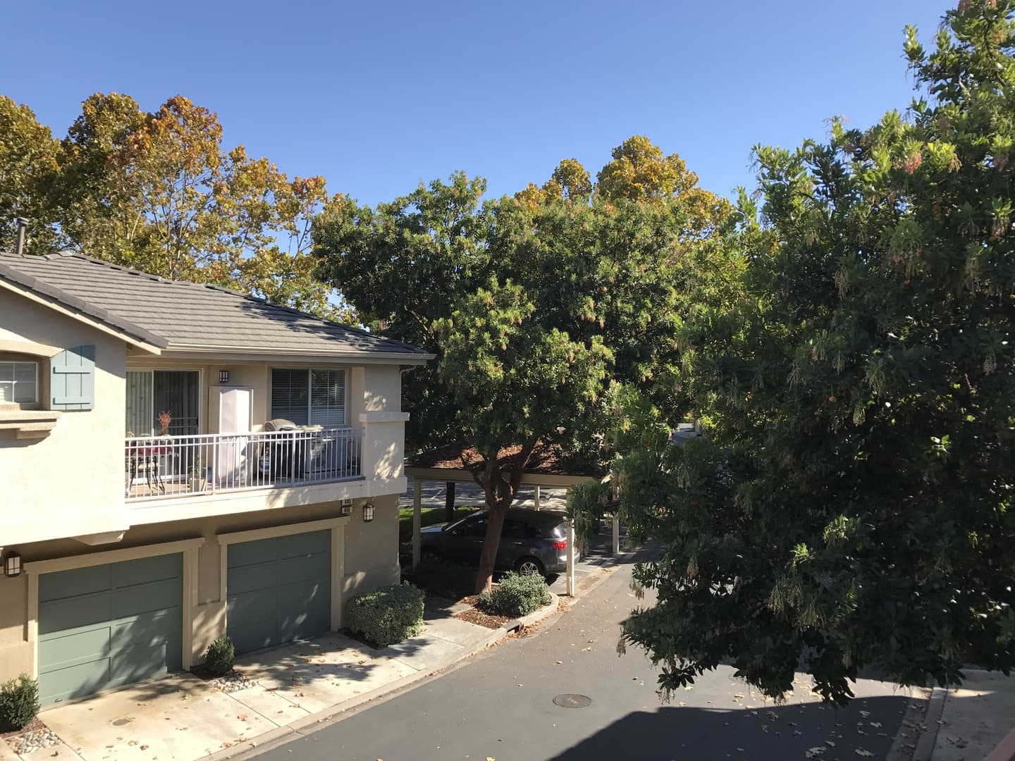 San Jose Townhome: 444 Ribbonwood Avenue