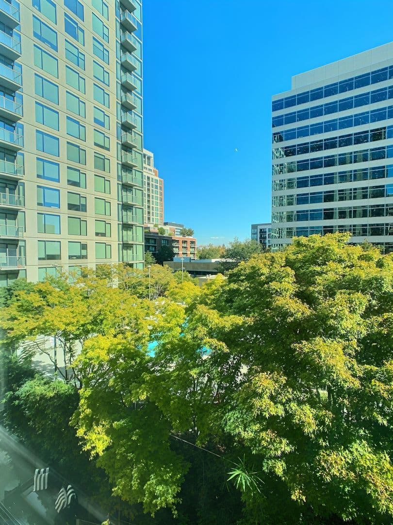 San Jose Condo: 38 N. Almaden Blvd., #500