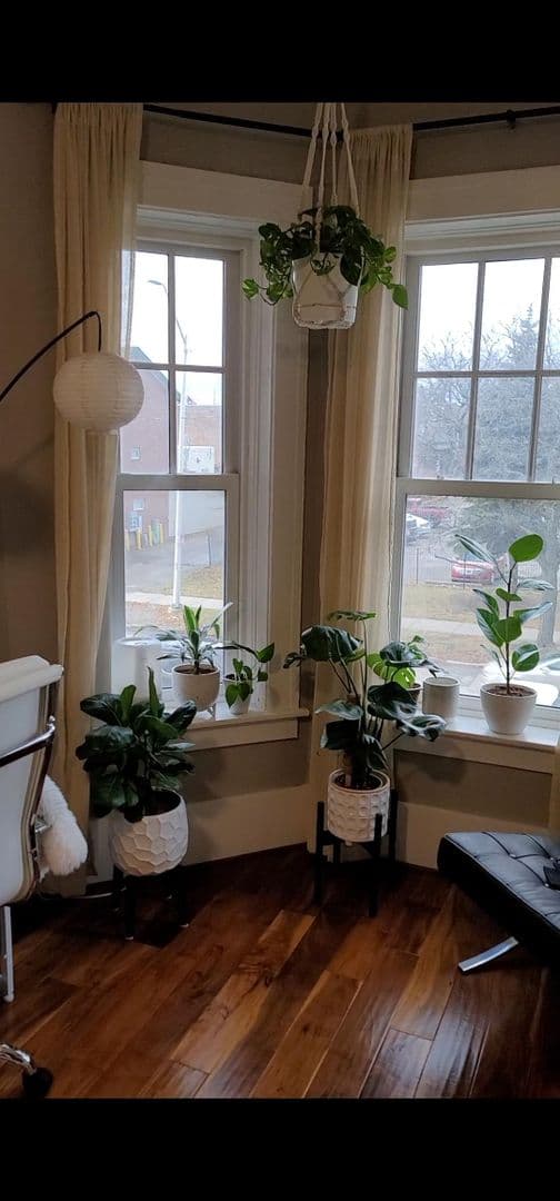 Detroit Apartment: 665  West Willis
