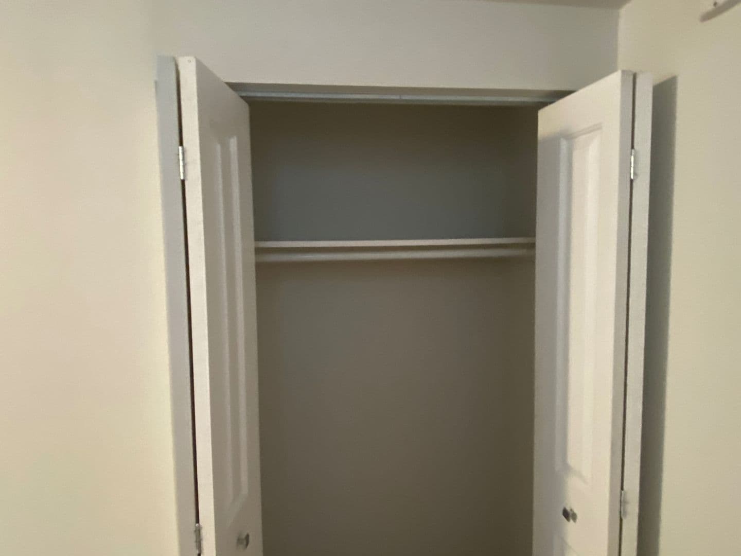Detroit Apartment: 51 W Palmer