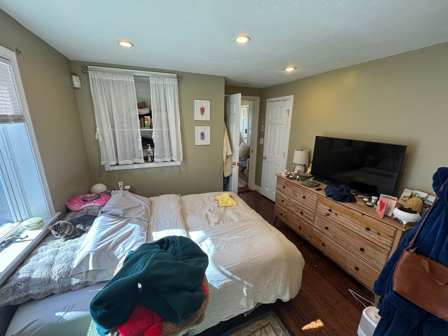 Somerville Apartment: 735 Somerville Ave