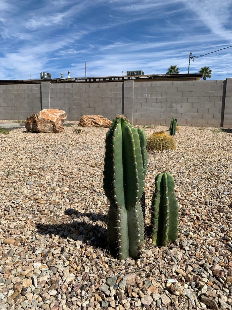 Phoenix Apartment: 1011 E Amelia Avenue