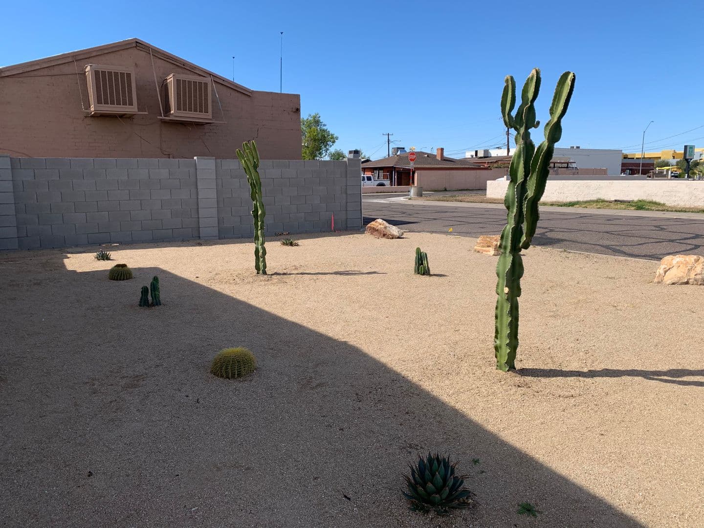 Phoenix Apartment: 1011 E Amelia Avenue