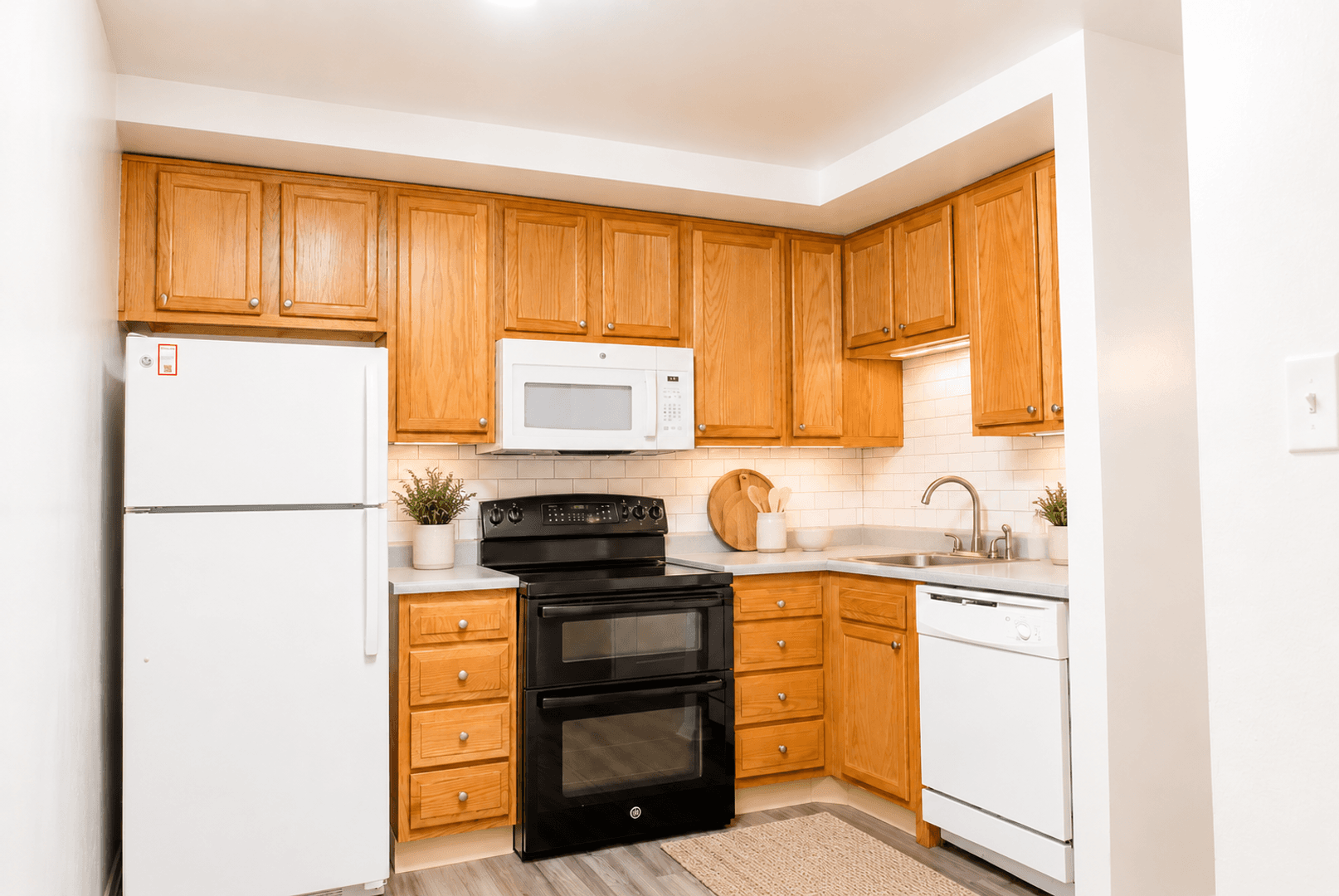 Lakewood Apartment: Zephyr Apartments