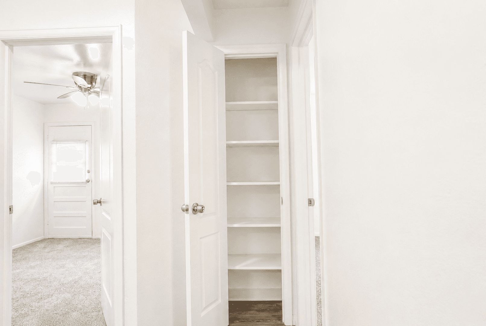 Lakewood Apartment: Zephyr Apartments
