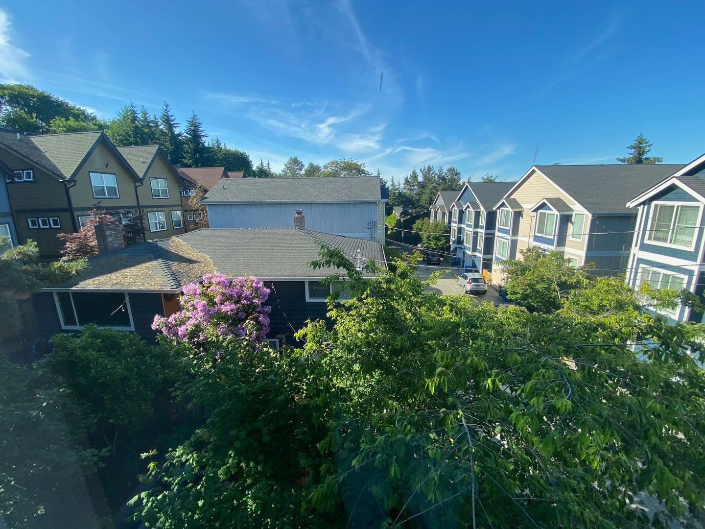 Seattle Townhome: 2418 SW Holden St.