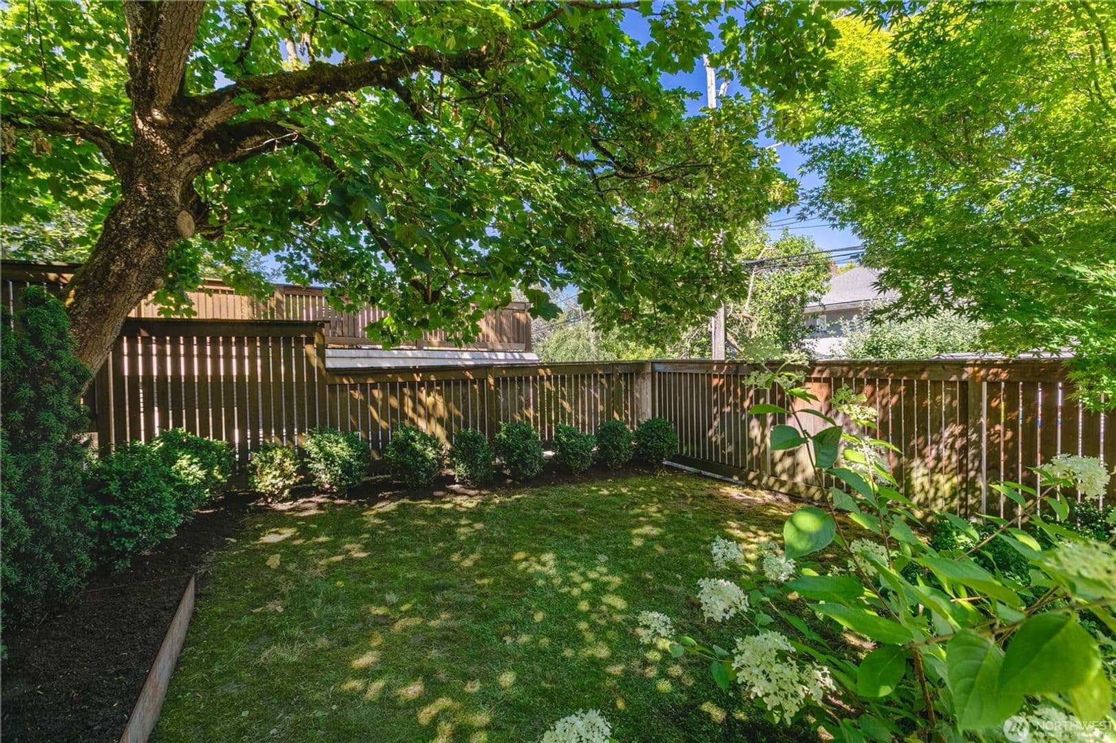 Seattle House: 918 18th Avenue East