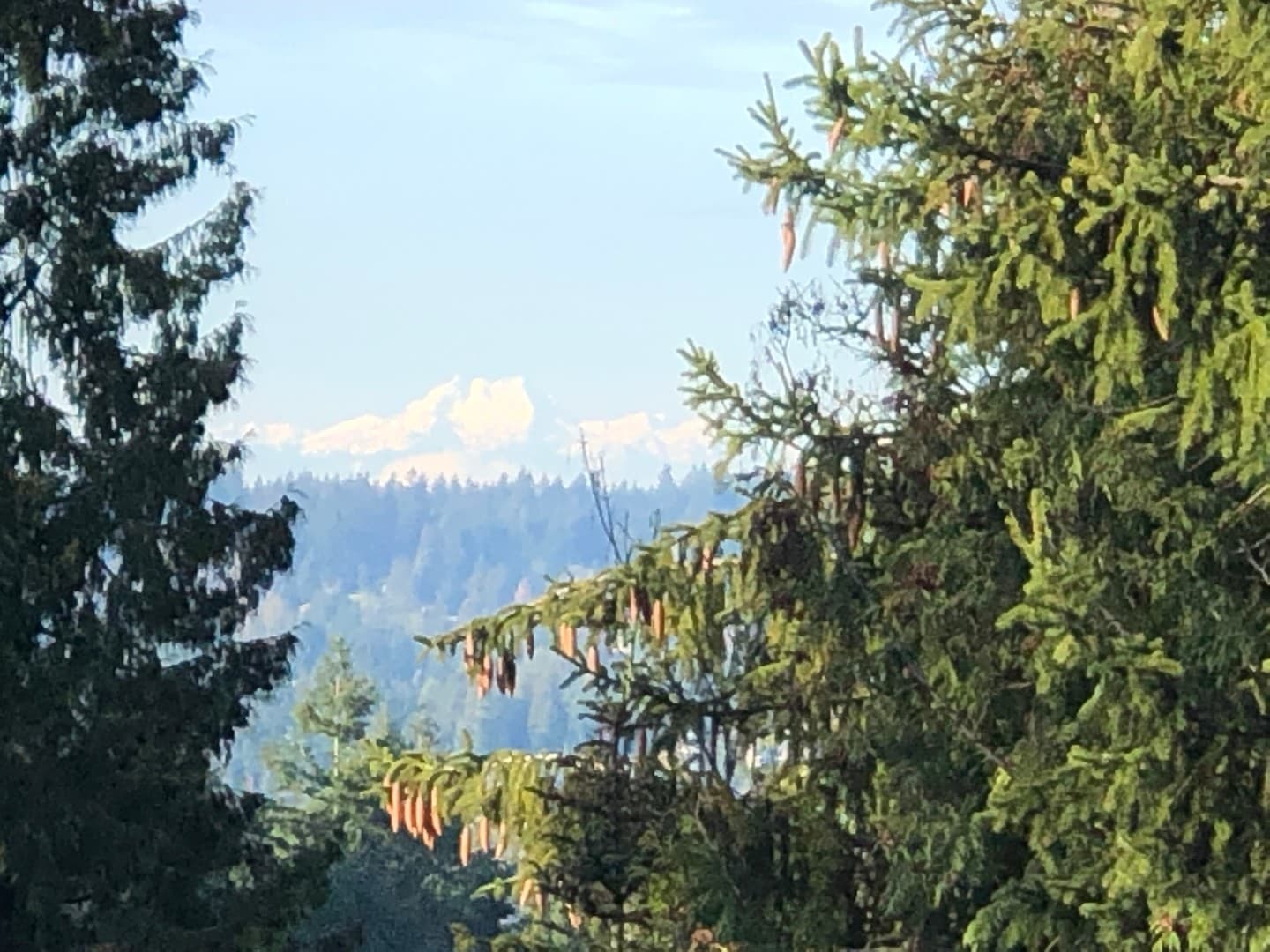 Sammamish House: 1280 211th Ave NE