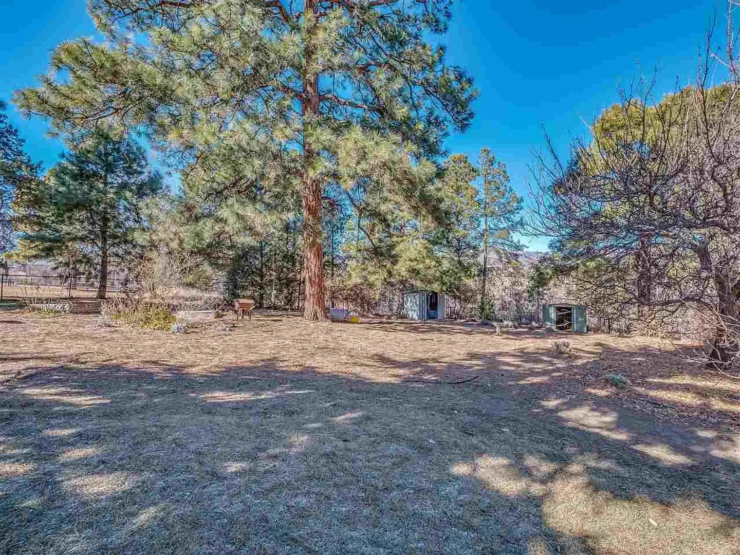 Los Alamos Condo: 505 Oppenheimer Dr. #417