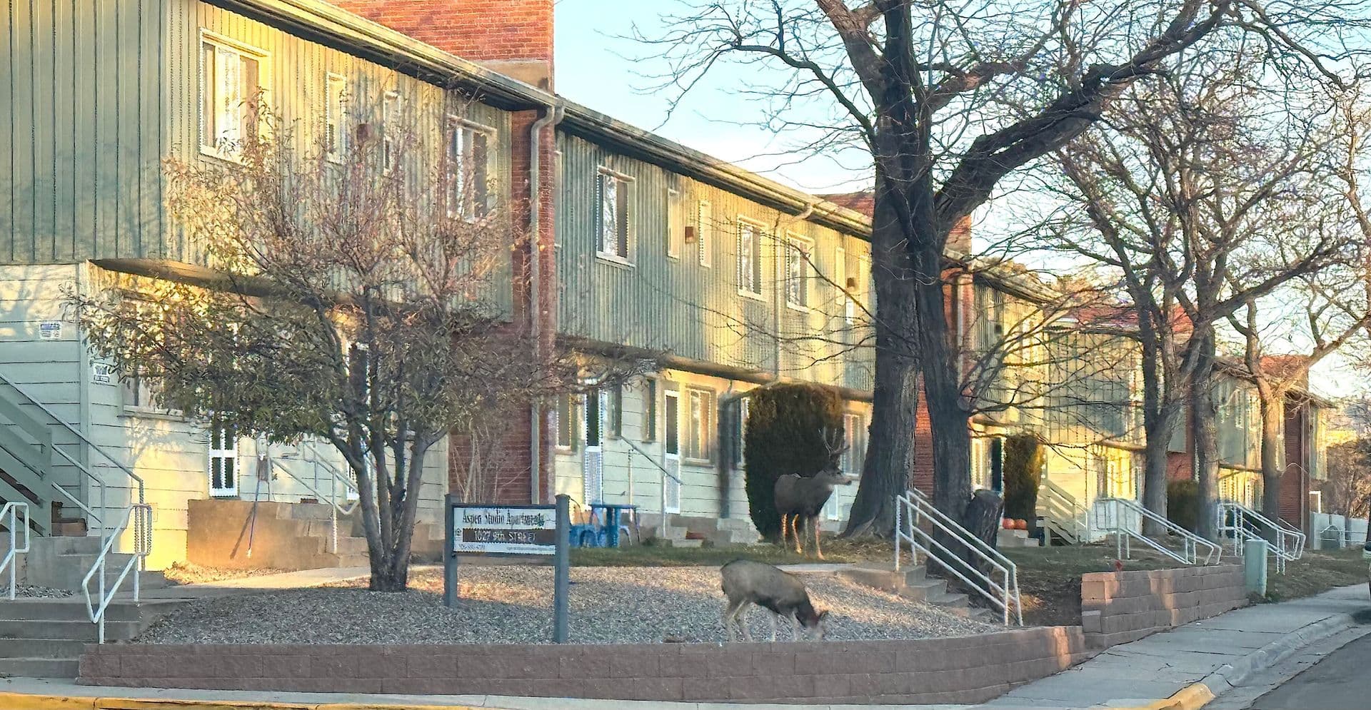 Los Alamos Apartment: 1203 9th Street