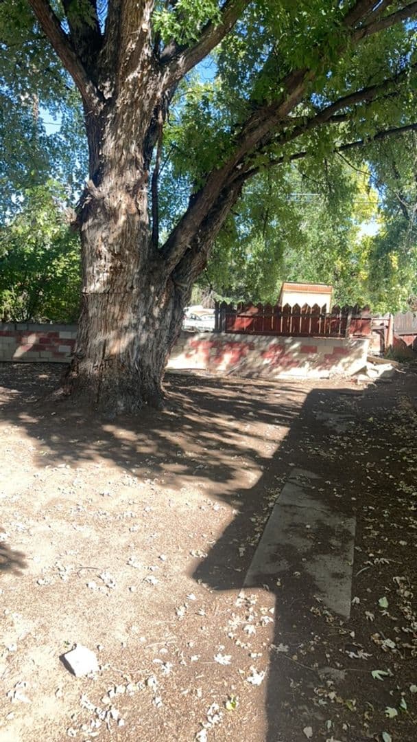 Aztec House: 330 Main Street