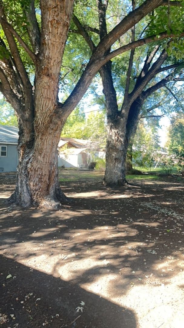 Aztec House: 330 Main Street