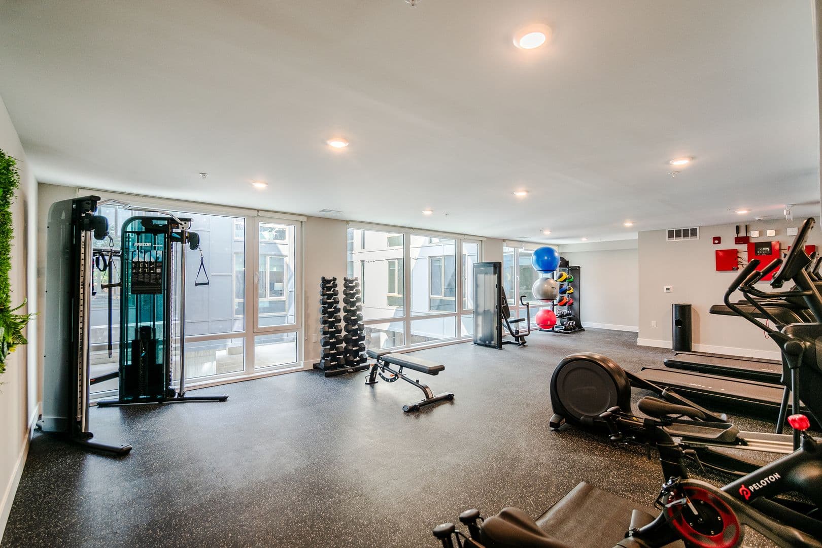 Philadelphia Apartment: 6604 Ridge Ave