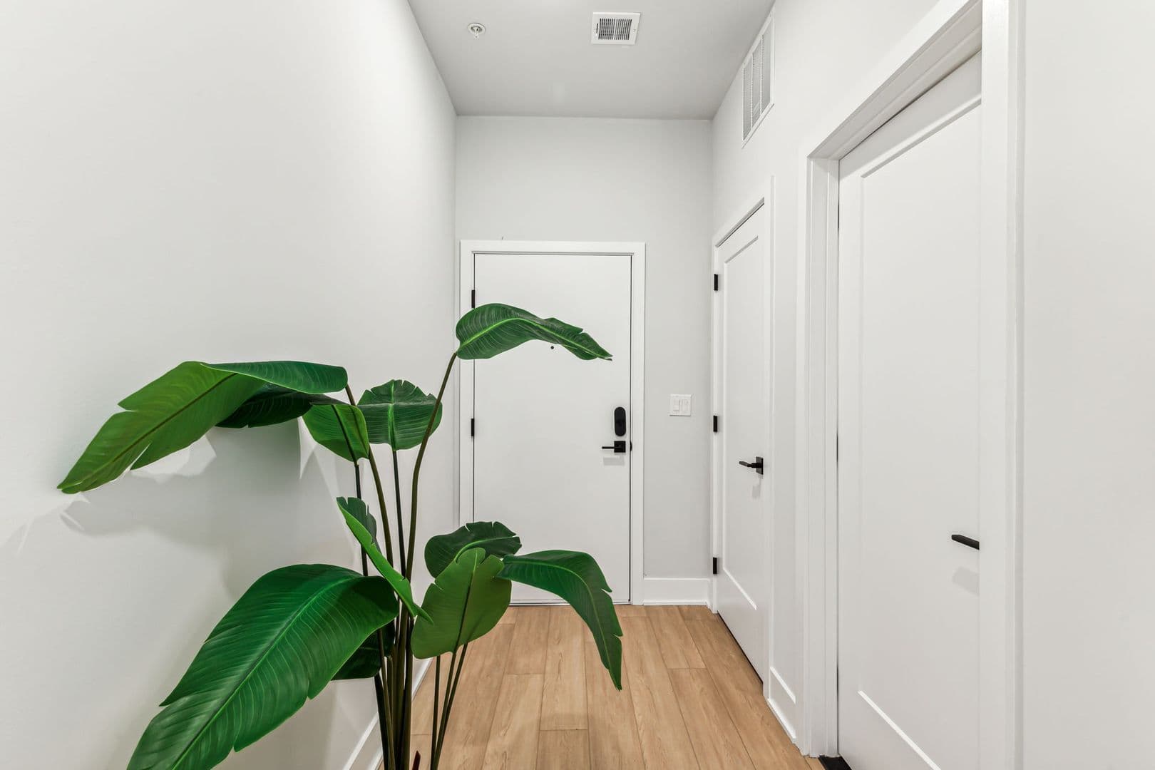 Philadelphia Apartment: 6910 Ridge Avenue