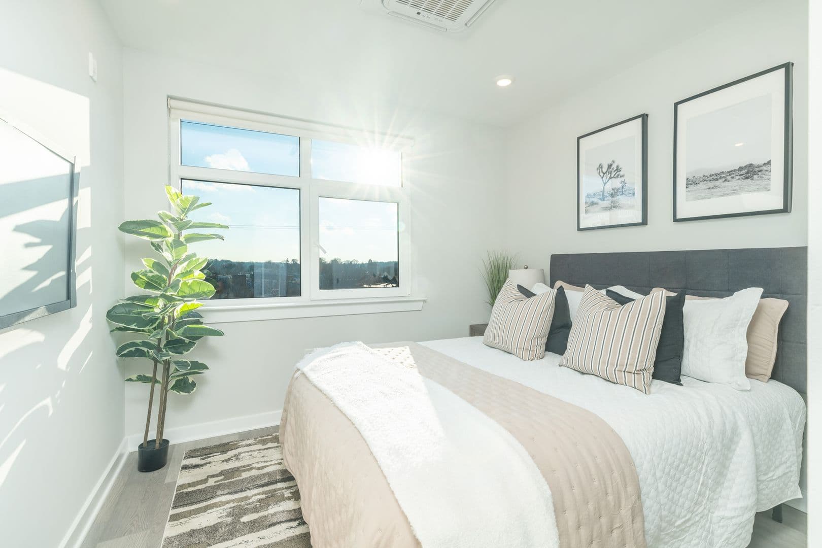 Philadelphia Apartment: 3449 Scotts Ln