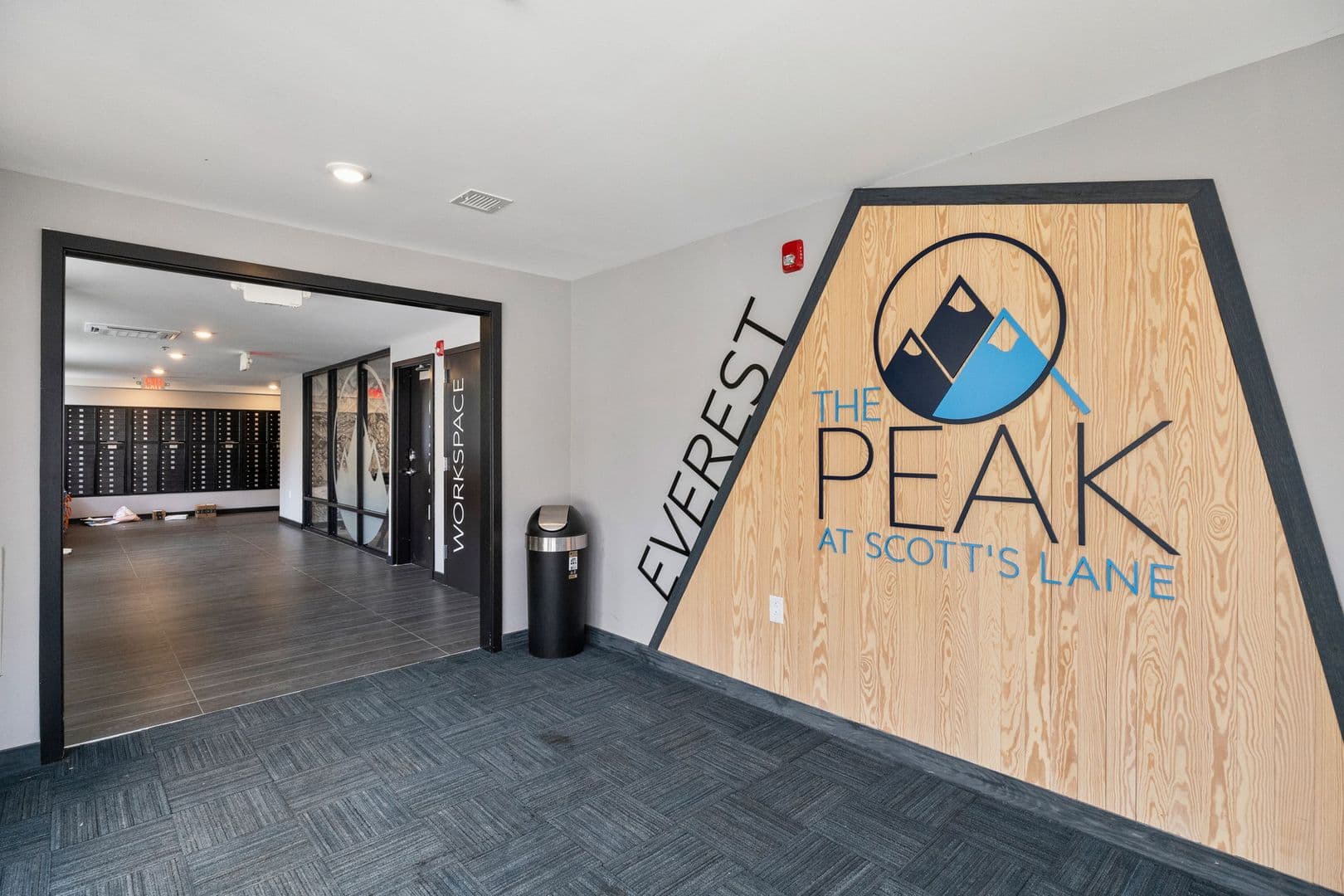 Philadelphia Apartment: 3449 Scotts Ln