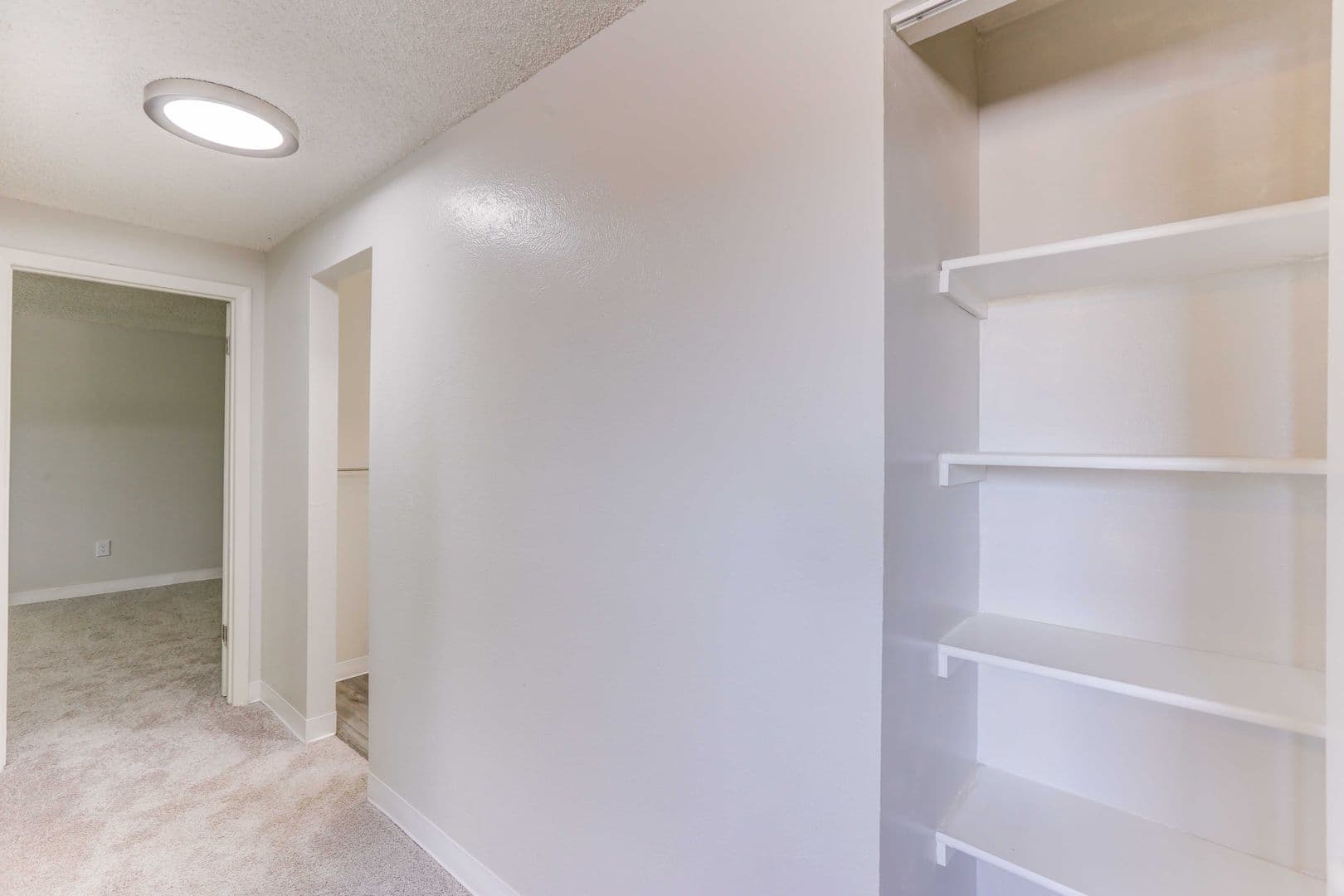 Denver Apartment: 3625 South Verbena Street