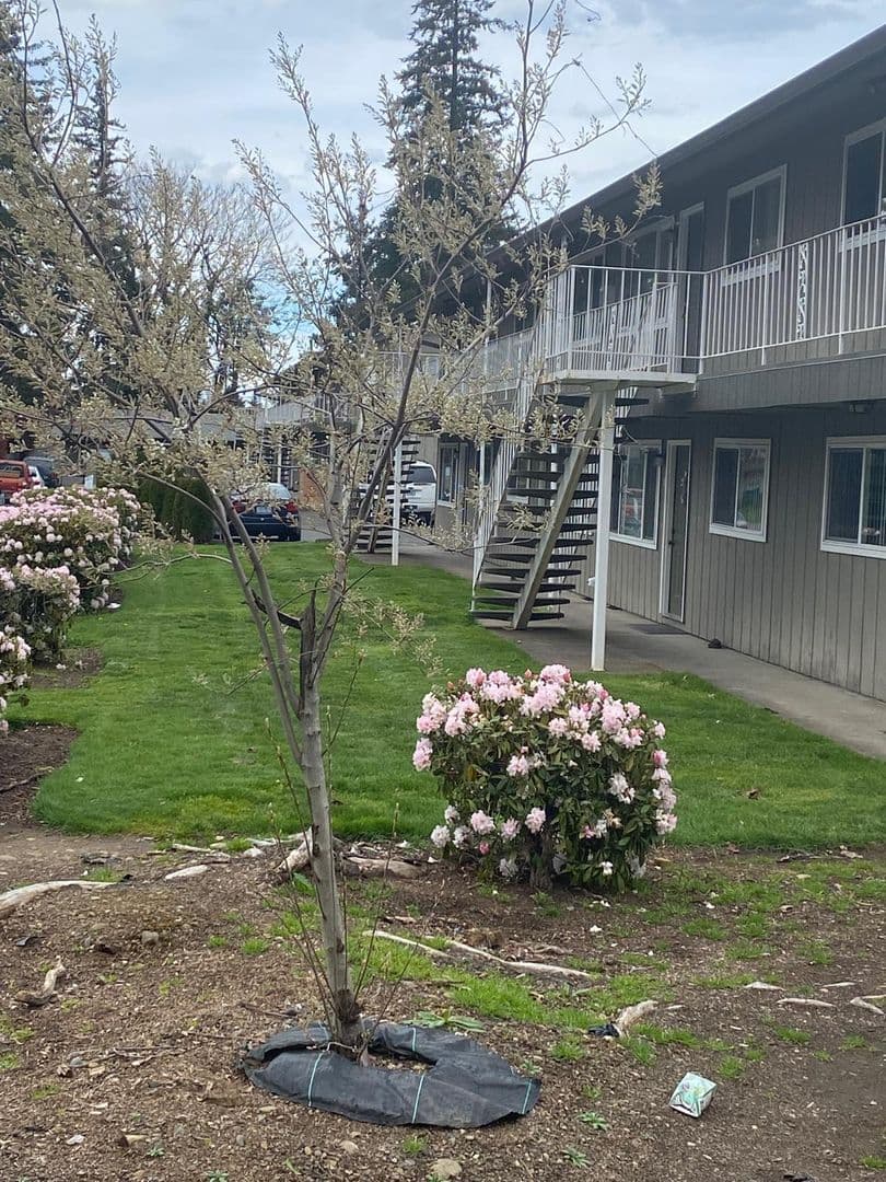 Portland Apartment: 17925 E Burnside St
