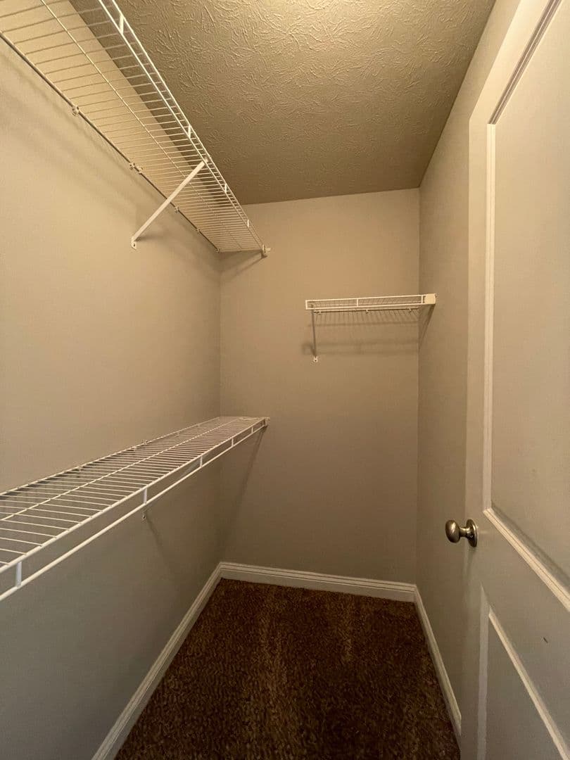 Bowling Green Apartment: 429 Upper Stone Avenue