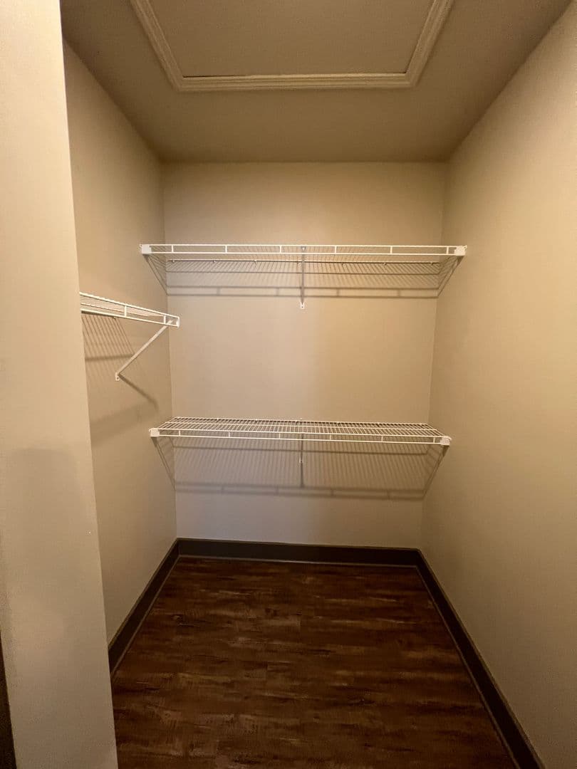 Bowling Green Apartment: 556 Emmett Ave