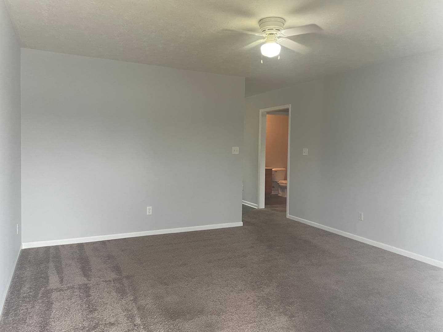 Bowling Green Apartment: 387 Lower Stone Avenue