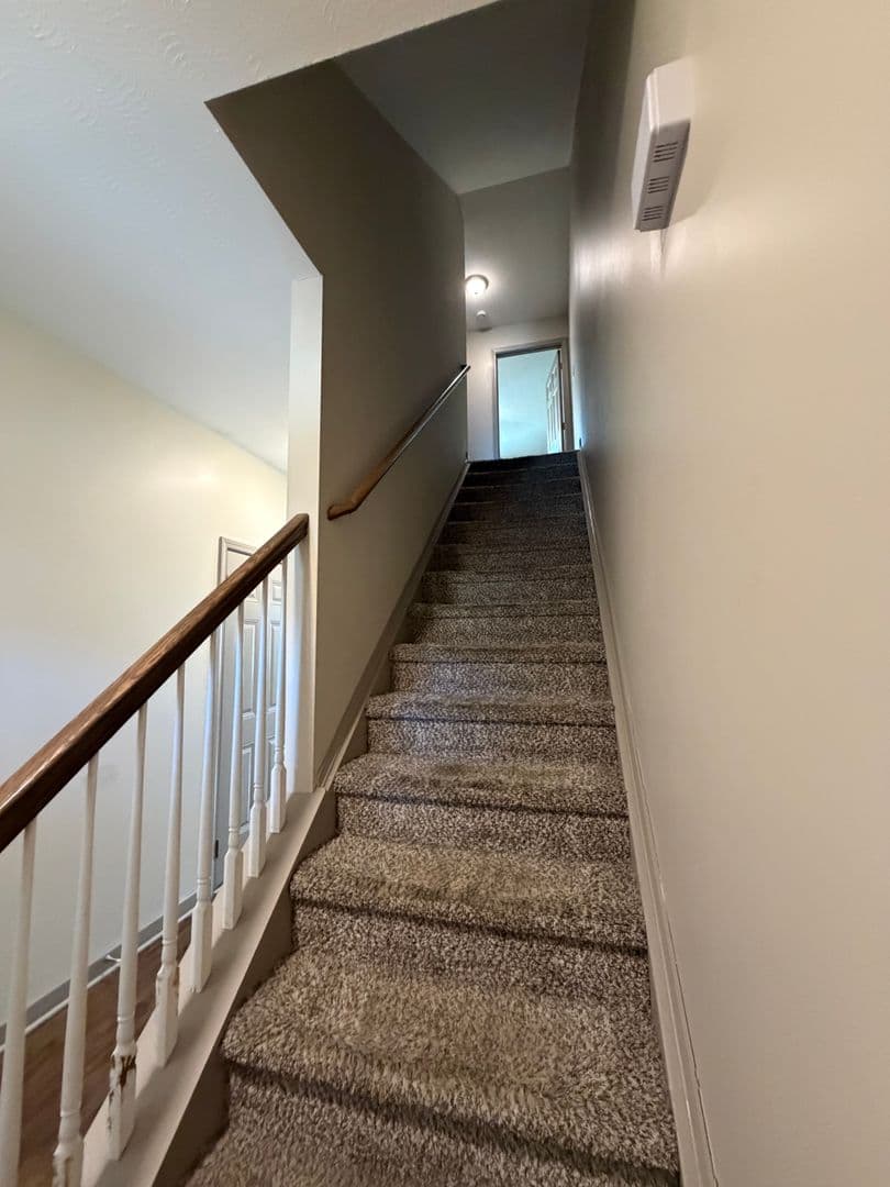 Bowling Green Apartment: 110 Audley Court