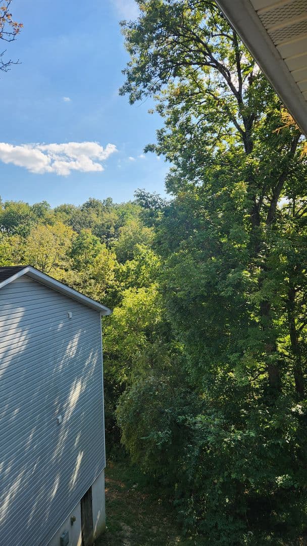 Bowling Green Apartment: 128 River Tanmer Way