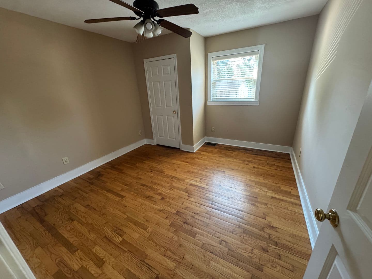 Bowling Green Apartment: 710 Cabell Drive