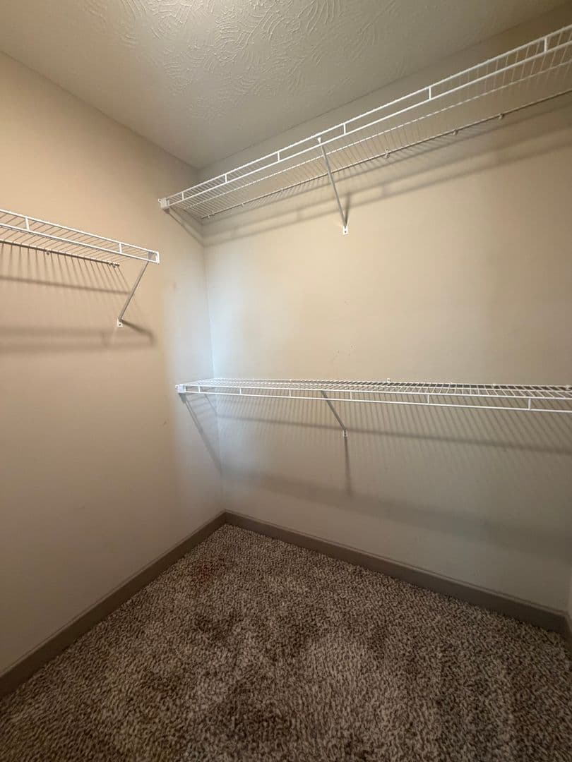 Bowling Green Apartment: 110 Audley Court