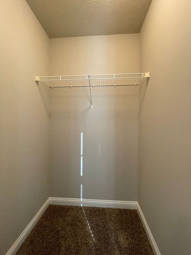 Bowling Green Apartment: 429 Upper Stone Avenue