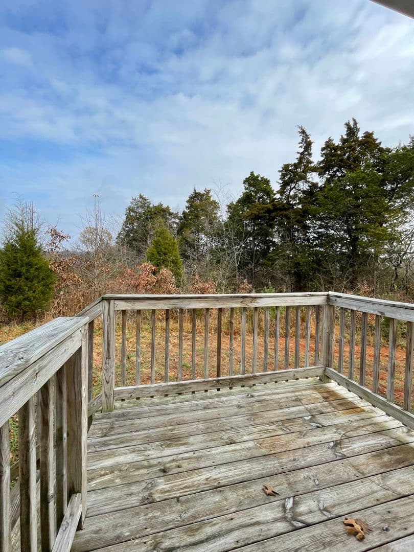 Bowling Green Apartment: 398 Lower Stone Avenue