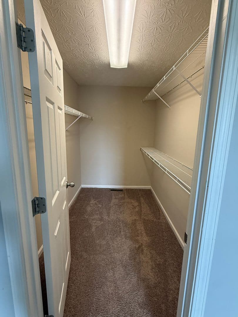 Bowling Green Apartment: 355 Upper Stone Avenue