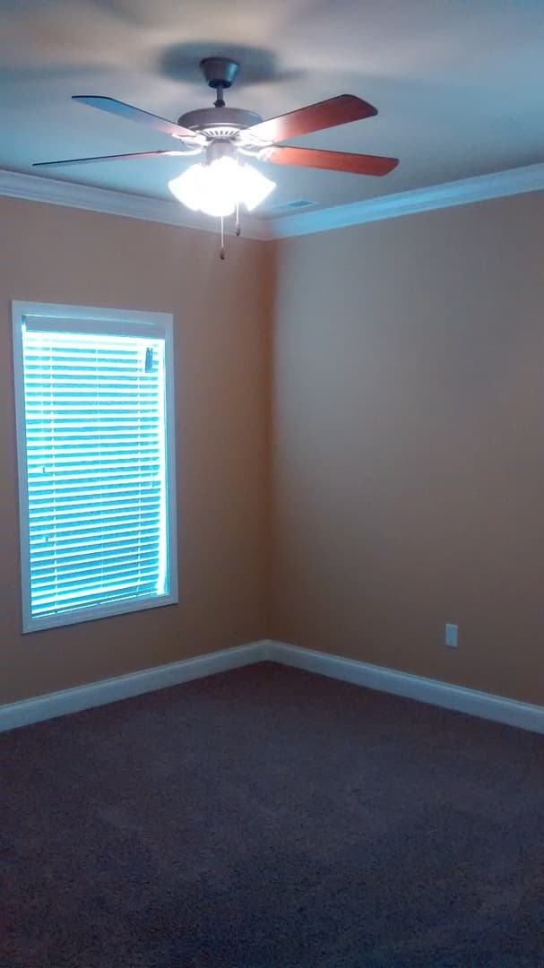 Bowling Green Apartment: 655 Declaration Way