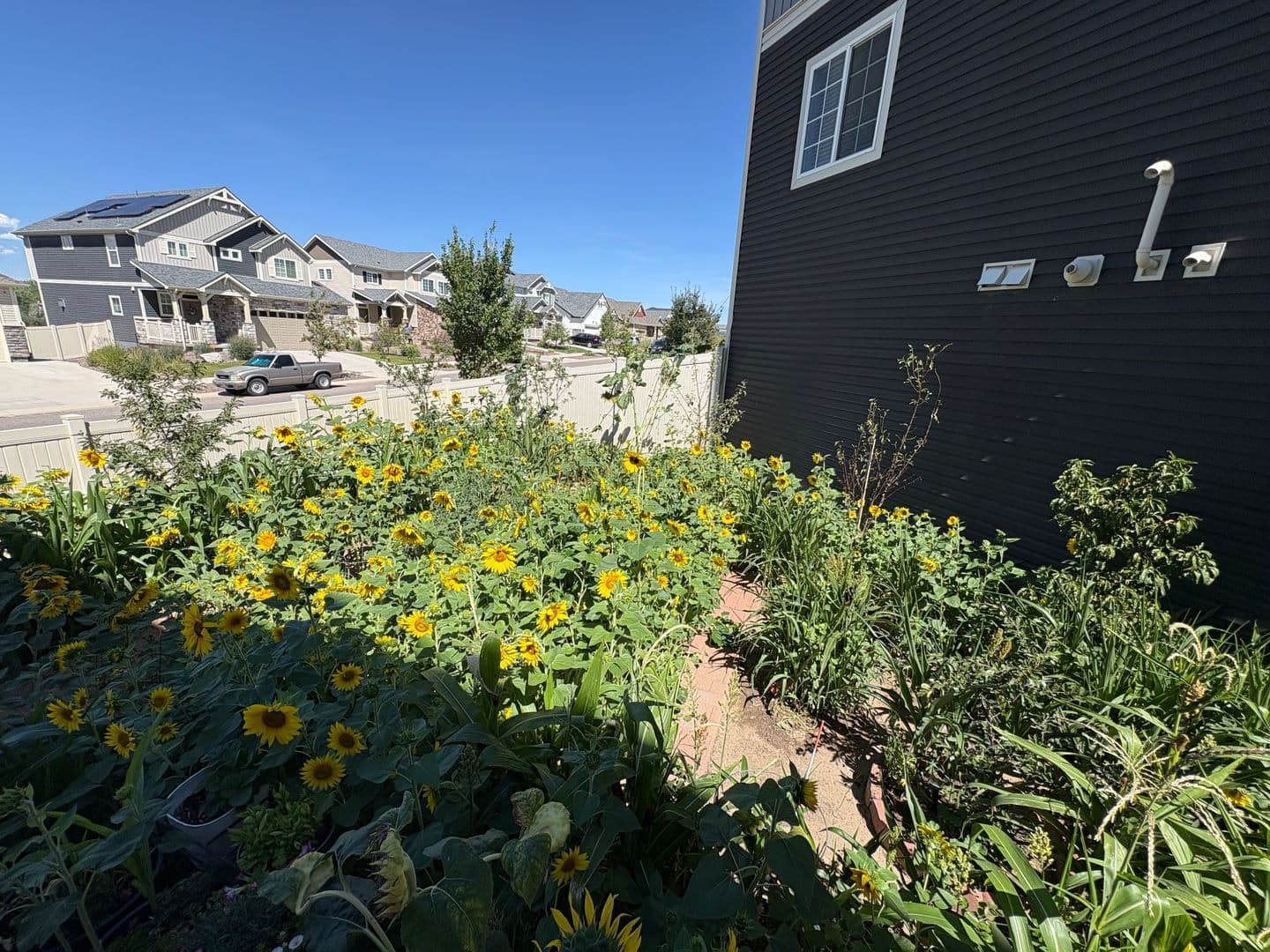 Aurora House: 21805 East 44th Place