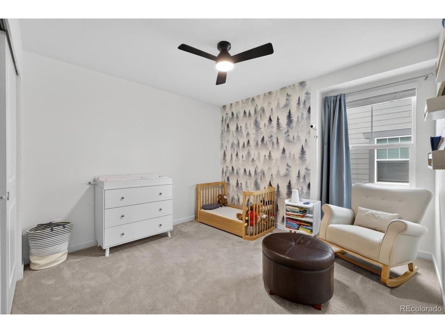 Commerce City House: 11029 Ursula St