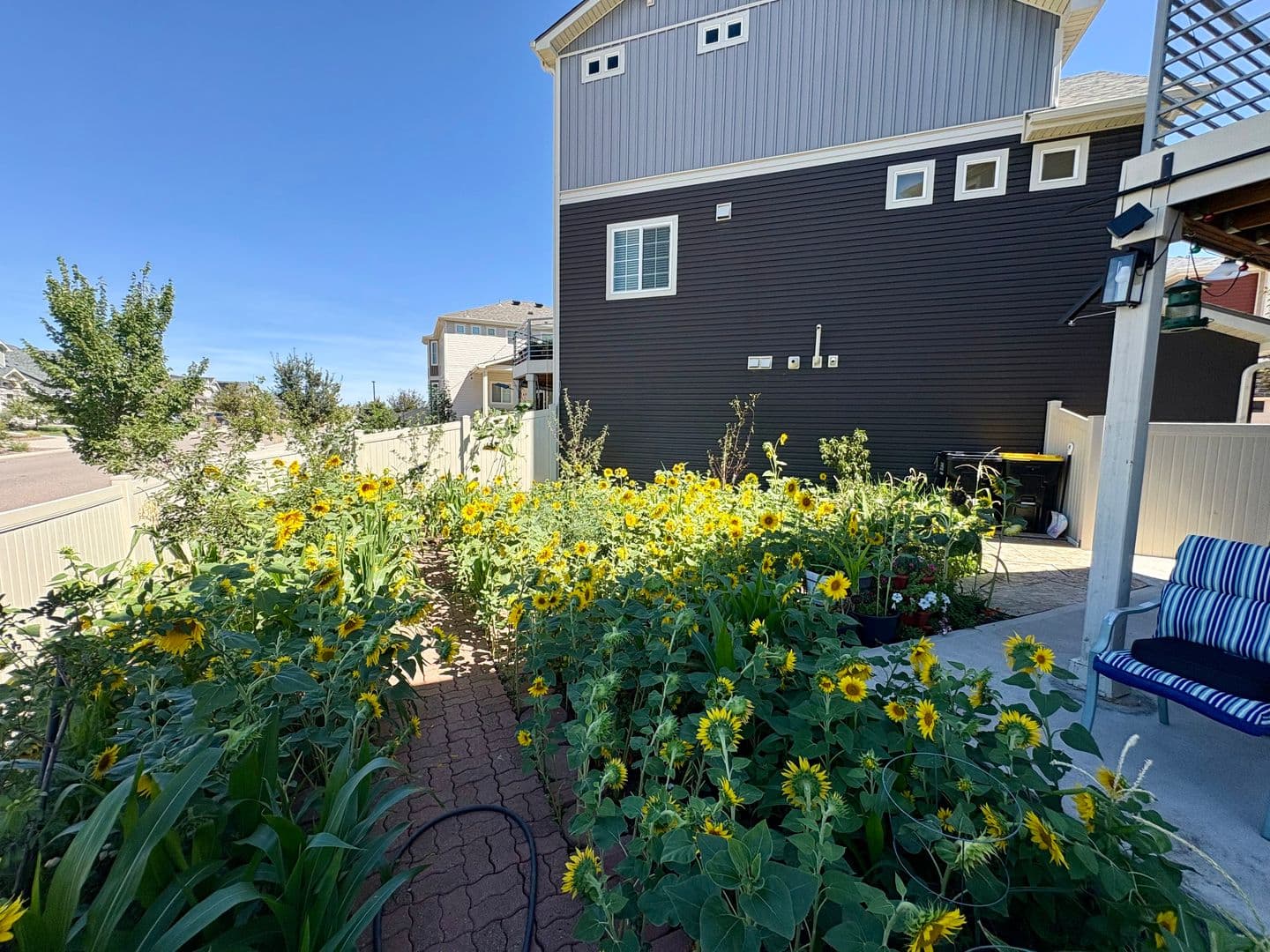 Aurora House: 21805 East 44th Place