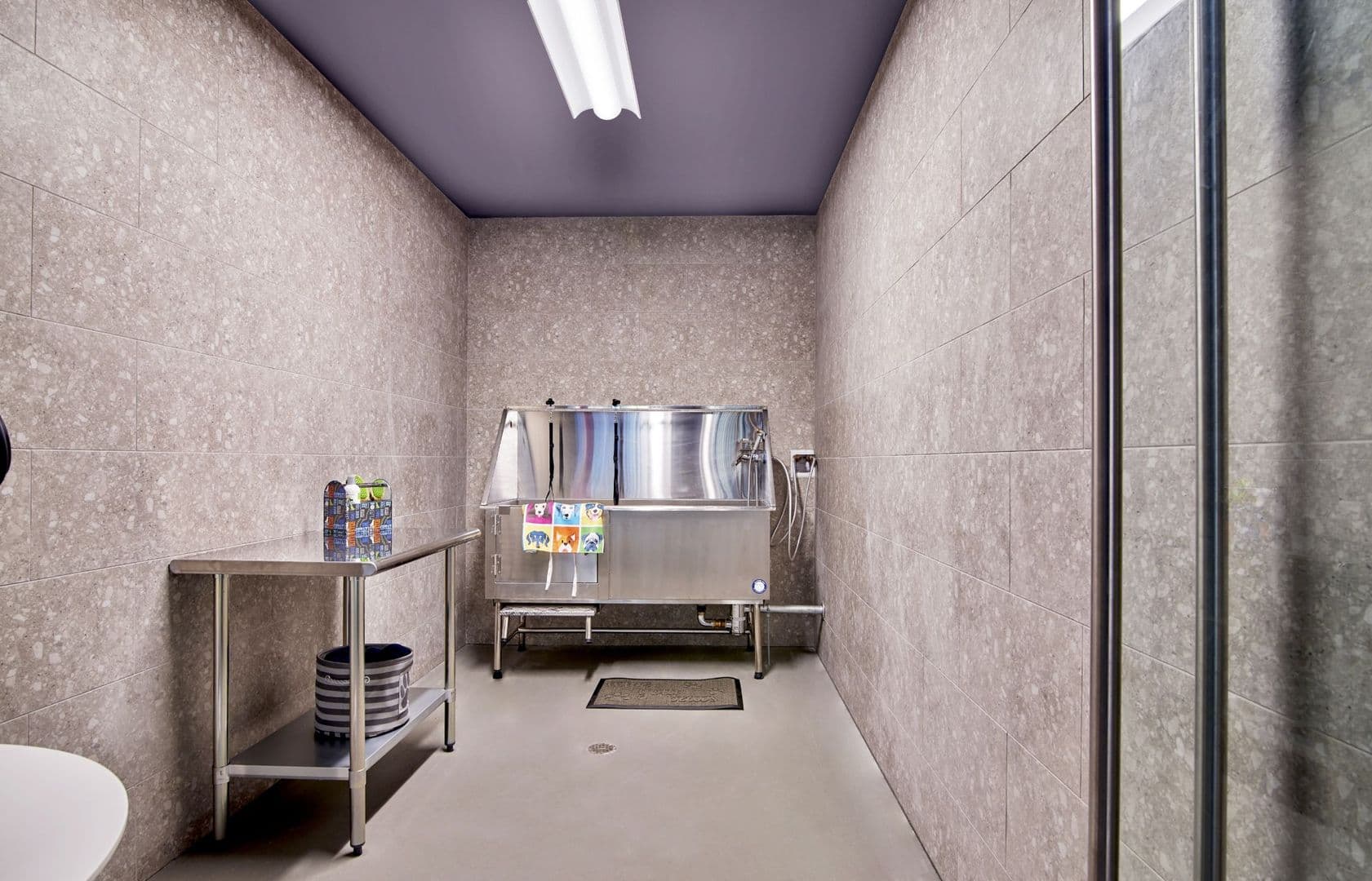 Hoboken Apartment: 771 Jackson St