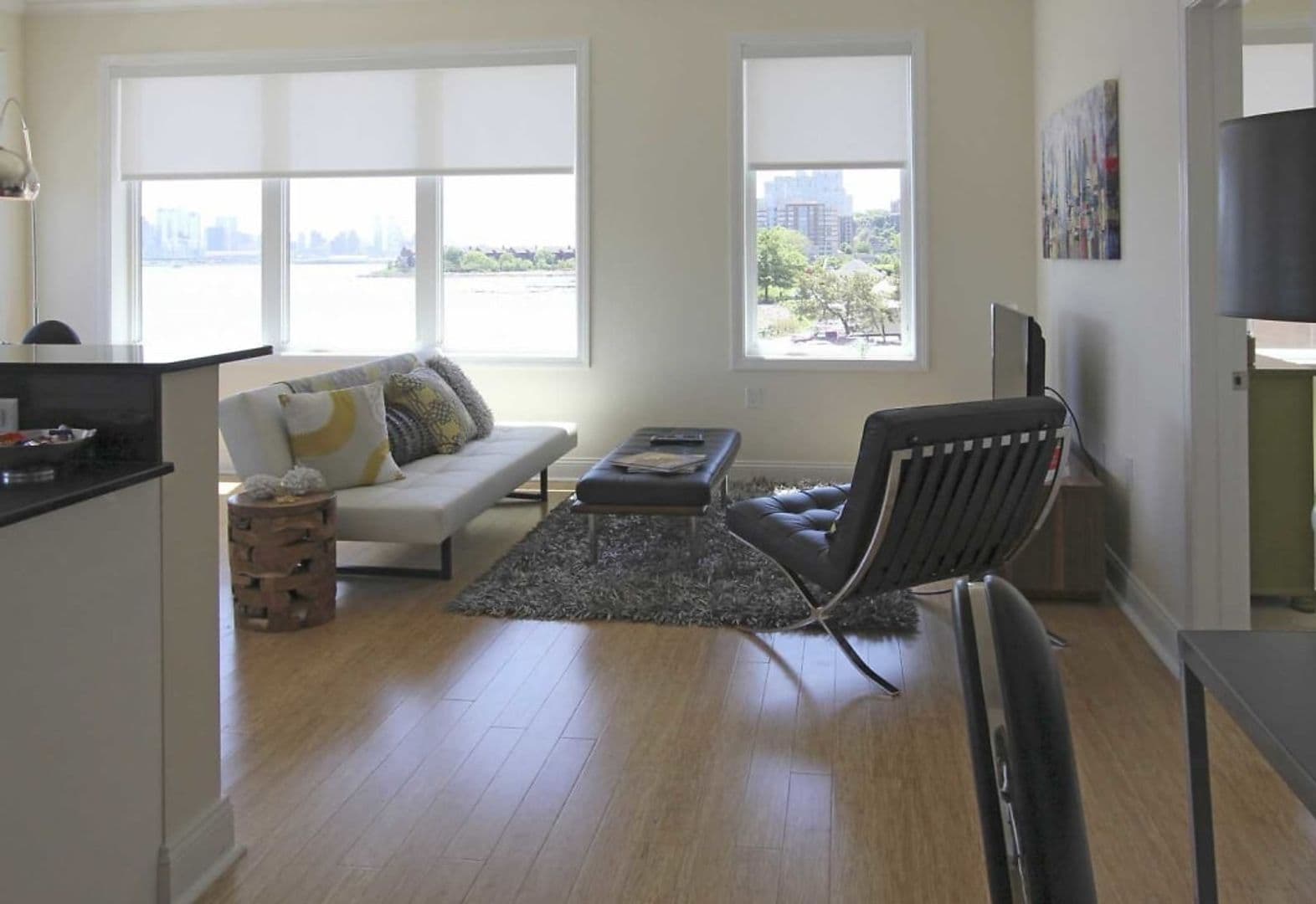 Edgewater Apartment: 2 Main Street
