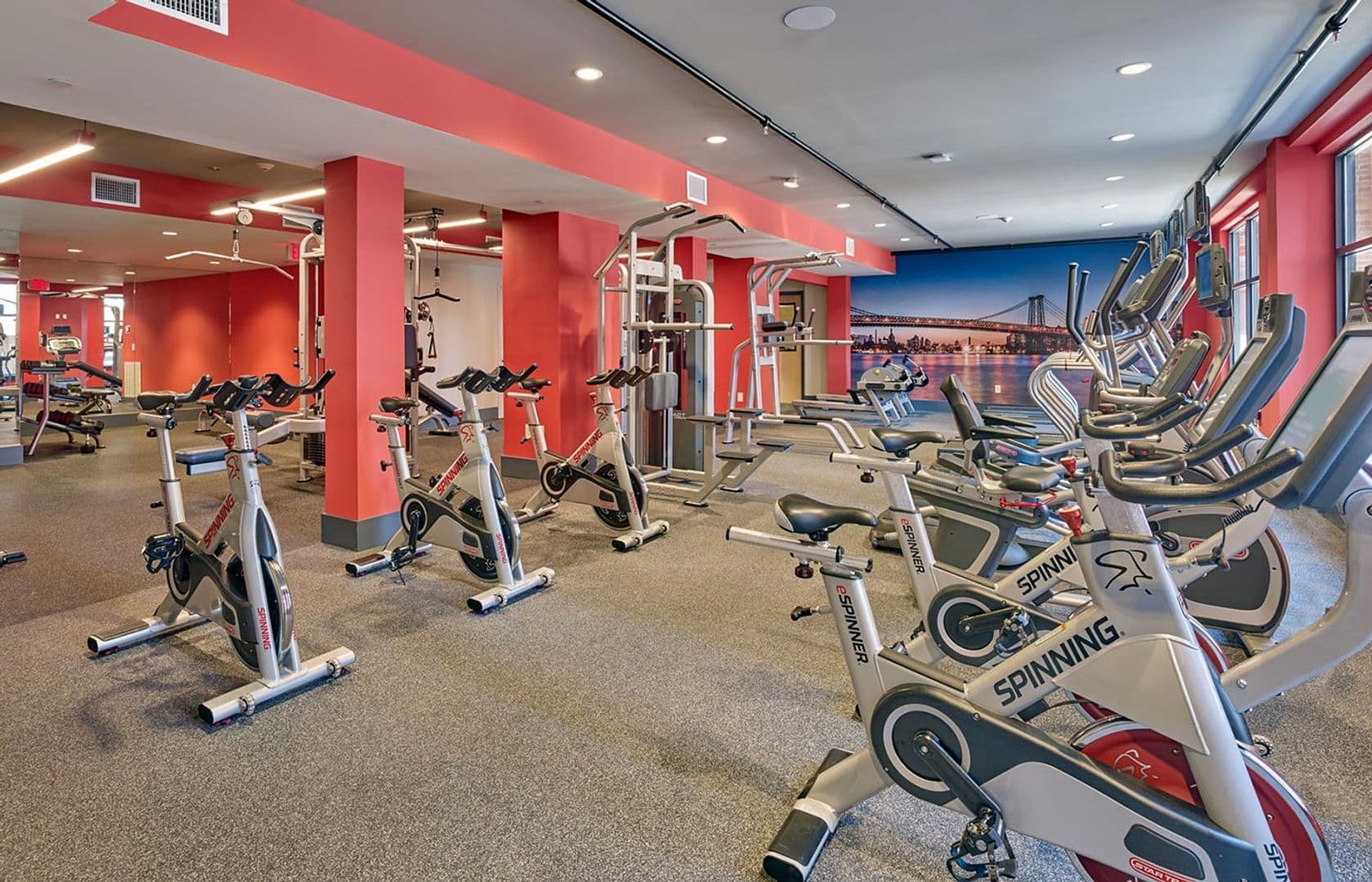 Jersey City Apartment: 298 Coles Street